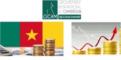Dégradation de la note de la dette publique du Cameroun
